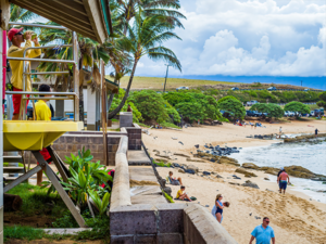 Ho'okipa Beach Park, renowned windsurfing and surf site for wind, big waves and big Turtles drying on sand.