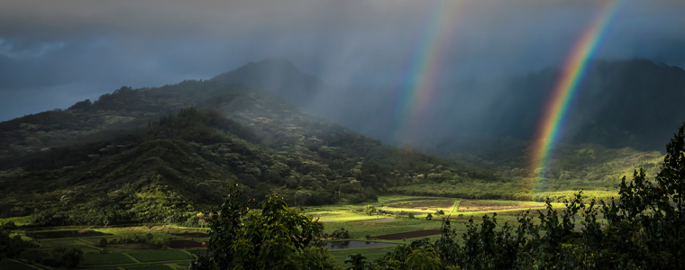 double rainbow in field