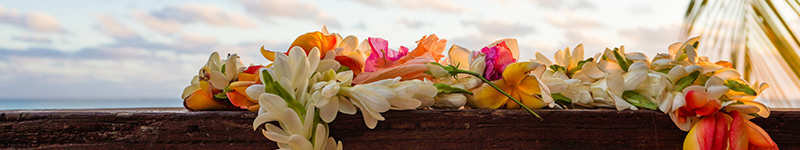 flower lai on wood deck